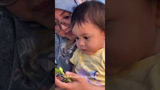 SALTING DILIATIN LEXIE ADIK NYA LEIKA BAYI GEMESNYA YOUTUBE‼️ #leika #viral #shorts