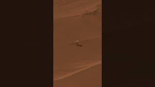 Som ET - 65 - Mars - Perseverance Sol 1052 - Video 2 #shorts