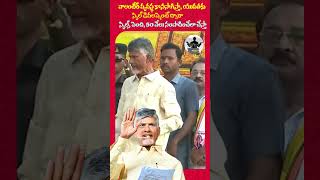 వాలంటీర్ వ్యవస్థ కొనసాగిస్తా యువతకు స్కిల్ డెవలప్మెంట్ ద్వారా స్కిల్స్ పెంచి50వేలు సంపాదించేలాచేస్తా