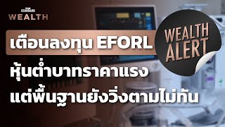 EFORL 'หุ้นต่ำบาท' ราคาแรง นักวิเคราะห์เตือนให้ระวัง | Wealth Alert