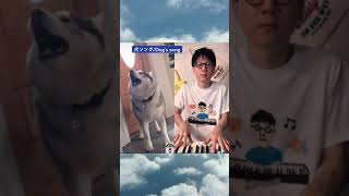 【犬ソング】ハスキーが哀愁漂うバラードを力いっぱい歌い上げる！ #Shorts