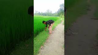 ওটা কিভাবে হল পিরপা কোত্থেকে আসলো #funny #rojfun #comedy