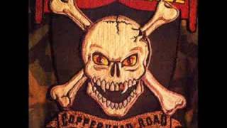 Steve Earle - Copperhead Road