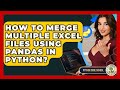 How To Merge Multiple Excel Files Using Pandas In Python? - Python Code School