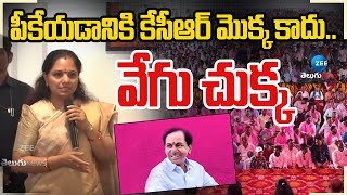 MLC Kavitha About KCR | BRS | పీకేయడానికి కేసీఆర్ మొక్క కాదు.. వేగు చుక్క | ZEE Telugu News