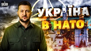 Україна – у НАТО. План допомоги. Фіаско Путіна та Кім Чен Ина. Загроза від КНДР / Мусієнко