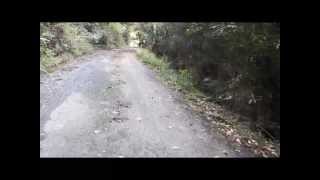 心霊スポット　犬鳴峠　旧道に入らないで奥の道に行くと・・・　Road at the back of the Inunaki pass