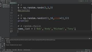 Numpy Random ALL EXPLAINED!!!