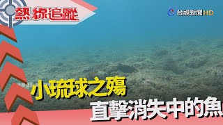 熱線追蹤-一窺海底生界 調查生態