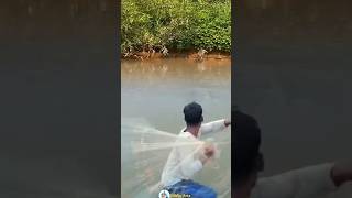 DETIK DETIK PERTARUNGAN SENGIT MACAN VS BUAYA RAWA #animals #shorts