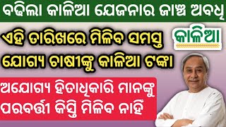 ବଢିଲା କାଳିଆ ଯେଜନାର ଜାଞ୍ଚ ଅବଧି | ଏହି ତାରିଖରେ ମିଳିବ କାଳିଆ ଟଙ୍କା | kalia yojana new update