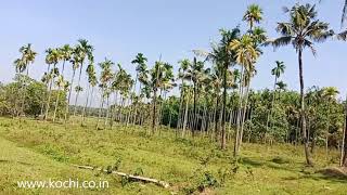 73 acres farm land at Kodakara | Thrissur District | Kerala