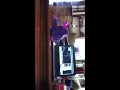 funny furby dancing to party rock anthem