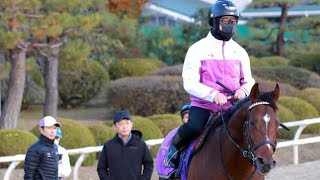 ドウデュースが有馬記念を右前肢ハ行で出走取り消し　友道師「ファンの皆さんに申し訳ない」　引退式は中止.