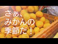 ＪＡグループさが　佐賀みかんＰＲ