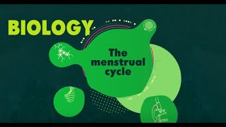 Introduction To THE MENSTRUAL CYCLE (BBC Bitesize KS3 Biology)