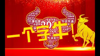 乐刮VLOG：挑战5元生肖票，牛！看这个票到底牛不牛！