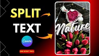 Canva Split Text Image: Step by Step Tutorial!