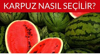 Karpuzun İyisi Nasıl Seçilir? ✅ Bu Bilgiler Sayesinde En Lezzetli Karpuzu Alacaksınız 💯