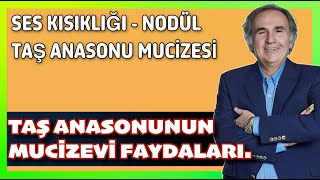 TAŞ ANASONU ÇAYI BİR SAĞLIK MUCİZESİ. #taşanasonu #seskısıklığı #nodül #ibrahimsaraçoğlu