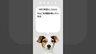 【瞬間英作文】りんごを何個か持っているよ。