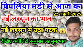 नई लहसुन का भाव आज का पिपलिया मंडी today new garlic arrival Pipliya Mandi