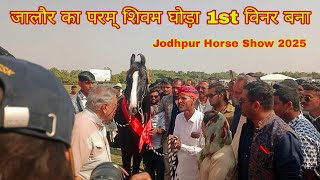 जालौर का परम् शिवम घोड़ा 1st विनर बना जोधपुर हॉर्स शो 2025 दो दांत बछेरा#horse #jodhpur#today#update