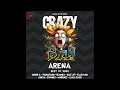 Crazy Dance Arena vol.117 (Best of 2024) mixed by Dj Fen!x