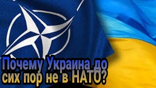 У Зеленского есть вопрос к Байдену: Почему Украина до сих пор не в НАТО?