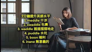 3分鐘提升英語水平 English Vocabulary 英文詞彙 meddle, swaddle, waddle, puddle, boon, inane #英文詞彙