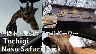 Nasu Safari Park and the famous bakery PENNY LANE