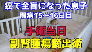 手術当日 闘病15～16日目