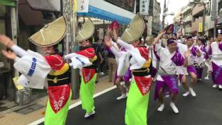 かせい阿波踊り2017 【目黒銀座連】