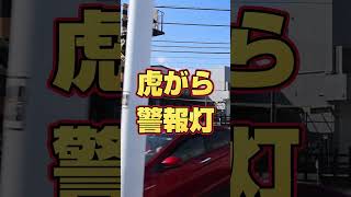 📍【東武東上線】埼玉県東松山市の“ボロボロ”踏切‼️ オーバーハングの魅力とは？🚦✨ 老朽化した踏切の雰囲気がたまらない…😳🎥 #東武東上線 #踏切 #埼玉県 #東松山市  #踏切 #railway