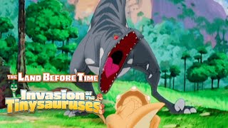 Big Sharpteeth Chase Tiny Longnecks | The Land Before Time XI: Invasion of the Tinysauruses