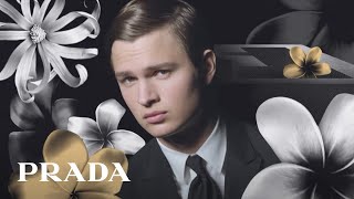 La Femme Prada Intense et L' Homme Prada Intense