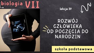 Biologia 7 [Lekcja 39 - Rozwój człowieka - od poczęcia do narodzin]