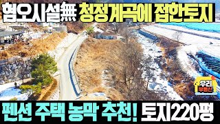 혐오시설無 수량 많은 청정 계곡에 접한 토지 220평 매매가1억5400만원 2600만원 가격인하! 남서향 펜션,주택,농막추천  /양평우리부동산 매물번호1590 [양평토지 급매물]