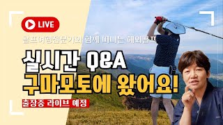 구마모토 출장중 VLOG 실시간! 골프 여행 Q\u0026A 라이브 ✈️