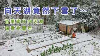 向天湖雪景