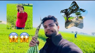 Khet m ki msti🤣🤣 #kheti #khetibadi #khet #khetan #viralvideo #viralshorts #viralshort #viralvideos