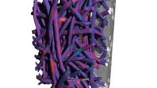 Titanium Fiber 3D Visualization and Analysis using ORS Visual SI