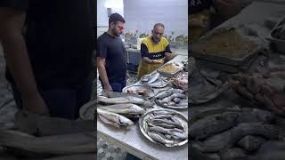 اشهر انواع السمك العراقي 🐟😍