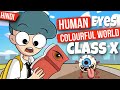 Human eye and the colourful world class 10 ( animation ) in 30 minutes - one shot￼