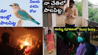 అమ్మ వీడియోస్ చెయ్యట్లేదు, ఎందుకో కారణం తెలియట్లేదు😔 Single గా బీచ్ కి వెళితే, ఇలాగే వుంటాదిమరి