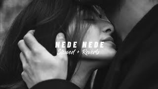 Nede Nede - Alisha Chinoy (slowed + reverb) New LoFi | RJ Reverb