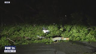 Houston weather: Tree fell on driver's car while he was in it