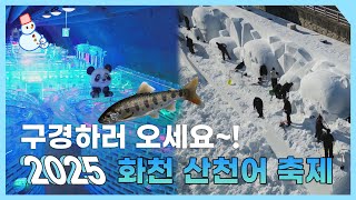 [강원365] 손님 맞이 준비 완료! 미리보는 2025 산천어축제