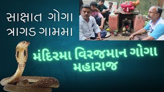 સાક્ષાત ગોગા મહારાજ  ત્રાગડ ગામમા દર્શન આપે છે.#જયગોગા #ગોગા_મહારાજ #ગોગાજી #ગોગા #gogaji #goga