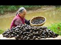 藏在泥裡的野味，有人用它淨化魚缸，有人丟它鍋裡炒香Grandma looks for wild game and makes traditional Chinese food｜广西 美食｜ 玉林阿婆